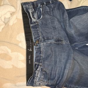 Lane Bryant Blue Skinny Jeans with Distressed Denim